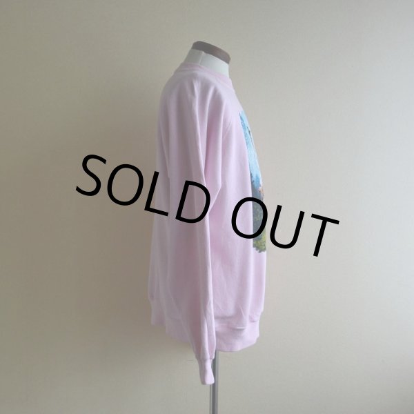 画像2: 1990s Deliverance プリントスウェット  MADE IN USA　 表記XL  (2)