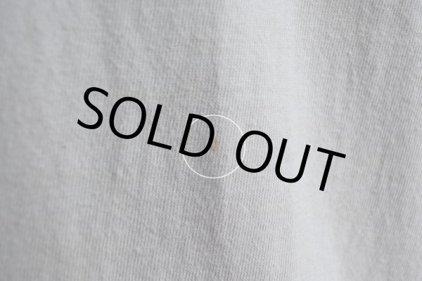 画像14: 1980s BANANA REPUBLIC プリントTシャツ　 MADE IN USA　 表記M  (14)