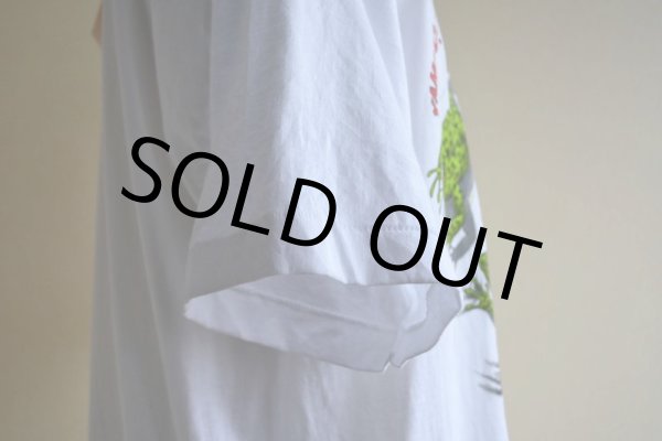 画像12: 1990s YAHOOO！カエルだまし絵 Tシャツ　 MADE IN USA　 表記XL  (12)