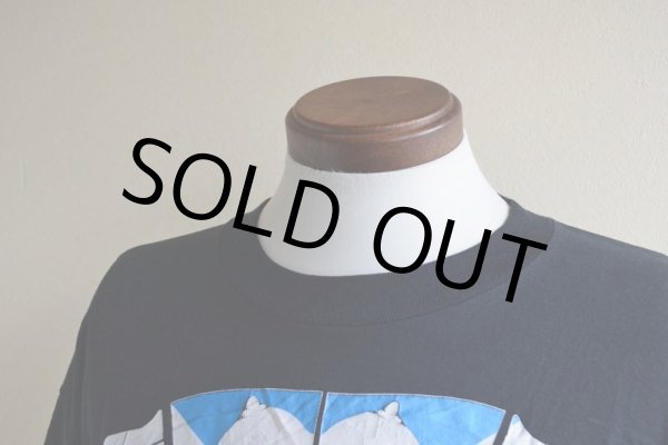 画像7: 1990s BUSH PILOT エロTシャツ　 "MADE IN USA"　 表記L  (7)