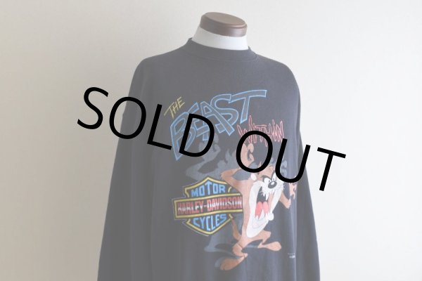 画像6: 1990s HARLEY-DAVIDSON×LOONEY TUNES プリントスウェット　  "MADE IN USA"　 表記XL  (6)
