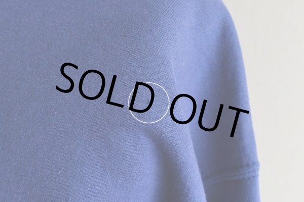 画像13: 2000s Champion カレッジパーカー  "UNIVERSITY OF MEMPHIS"  表記L  (13)