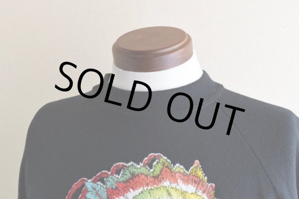 画像8: 1980s CHEROKEE インディアンフェイススウェット　 "MADE IN USA"　 表記XL  (8)