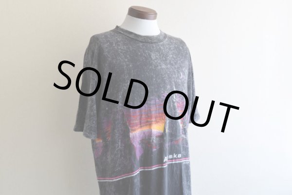 画像6: 1990s ALASKA Tシャツ  "MADE IN USA"  表記XXL  (6)