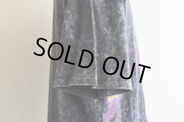 画像13: 1990s ALASKA Tシャツ  "MADE IN USA"  表記XXL  (13)