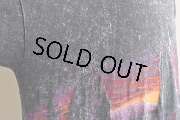 画像11: 1990s ALASKA Tシャツ  "MADE IN USA"  表記XXL  (11)