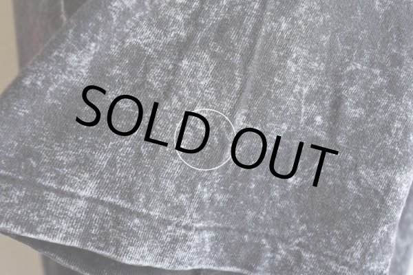 画像14: 1990s ALASKA Tシャツ  "MADE IN USA"  表記XXL  (14)