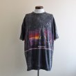 画像1: 1990s ALASKA Tシャツ　 "MADE IN USA"　 表記XXL  (1)