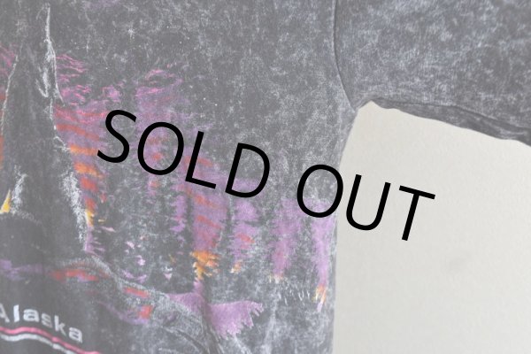 画像10: 1990s ALASKA Tシャツ  "MADE IN USA"  表記XXL  (10)