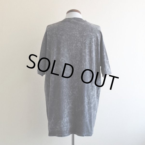 画像3: 1990s ALASKA Tシャツ  "MADE IN USA"  表記XXL  (3)