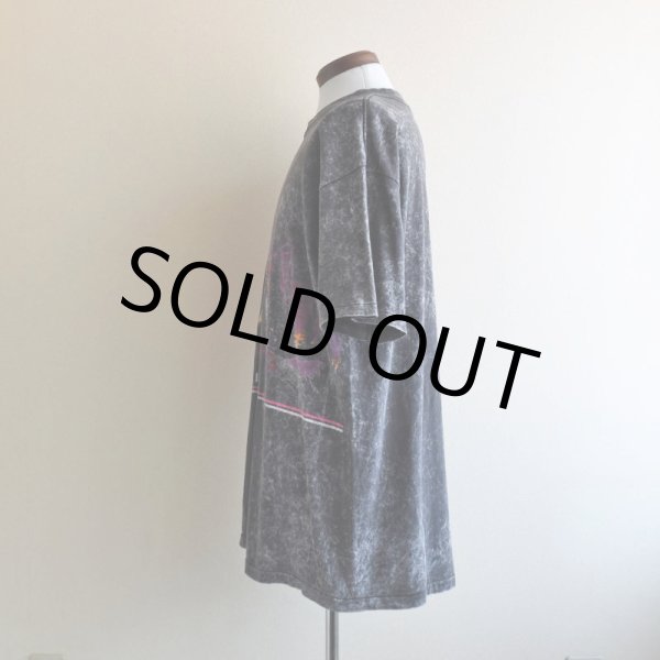 画像4: 1990s ALASKA Tシャツ  "MADE IN USA"  表記XXL  (4)