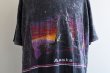 画像8: 1990s ALASKA Tシャツ　 "MADE IN USA"　 表記XXL  (8)