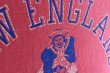 画像10: 1980s Champion フットボールTシャツ　 "NEW ENGLAND PATRIOTS"　 表記S  (10)