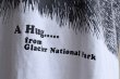 画像9: 1990s A Hug... Tシャツ　 "MADE IN USA"　 表記L  (9)