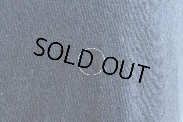 画像13: VNW USA ZIG-ZAG Tシャツ　 表記L  (13)