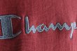 画像10: 1990s Champion リバースウィーブスウェット　 "MADE IN USA"　 表記XL  (10)