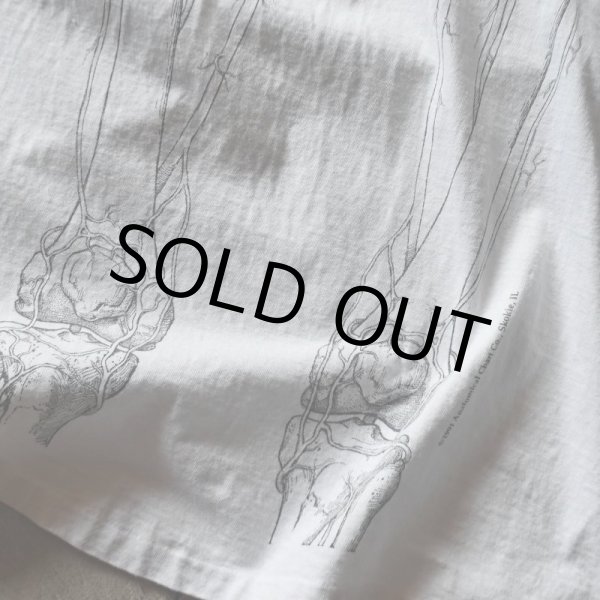 画像6: 1990s ANATOMICAL CHART Co. 人体解剖図スケルトンTシャツ(Tワンピ)  "MADE IN USA"  表記XL  (6)