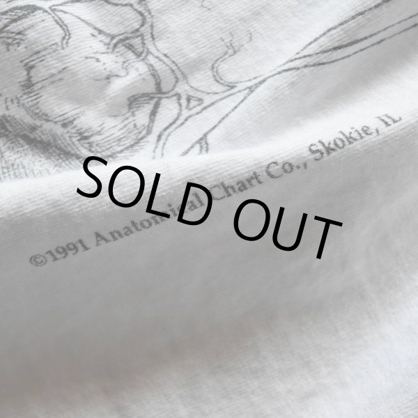 画像7: 1990s ANATOMICAL CHART Co. 人体解剖図スケルトンTシャツ(Tワンピ)  "MADE IN USA"  表記XL  (7)