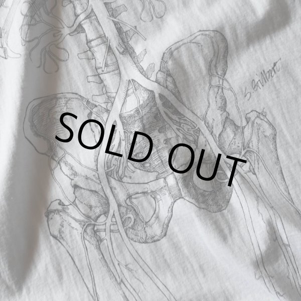 画像5: 1990s ANATOMICAL CHART Co. 人体解剖図スケルトンTシャツ(Tワンピ)  "MADE IN USA"  表記XL  (5)