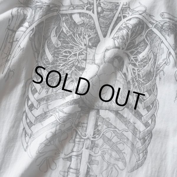 画像4: 1990s ANATOMICAL CHART Co. 人体解剖図スケルトンTシャツ(Tワンピ)  "MADE IN USA"  表記XL  (4)