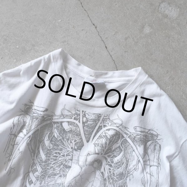 画像2: 1990s ANATOMICAL CHART Co. 人体解剖図スケルトンTシャツ(Tワンピ)  "MADE IN USA"  表記XL  (2)