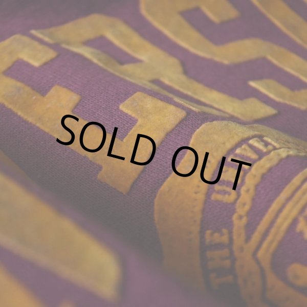 画像5: 1980s Champion フロッキースウェットパーカー  "MADE IN USA"  表記L  (5)