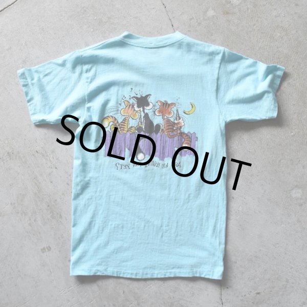 画像2: 1980s ARE WE HAVING FUN YET？ ねごTシャツ　 "MADE IN USA"　 表記M  (2)