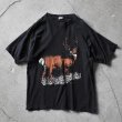 画像1: 1990s SIKA DEER Tシャツ　 "MADE IN USA"　 実寸L‐XL  (1)