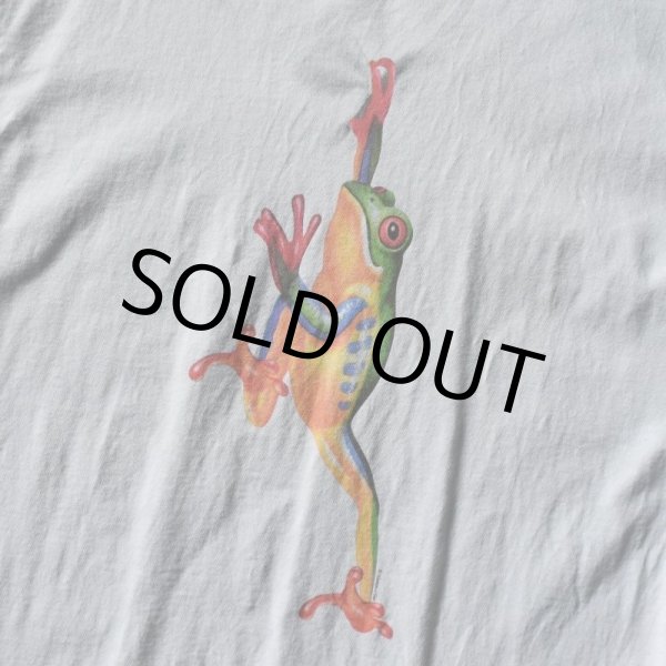 画像4: 1990s FROG アートTシャツ　 "MADE IN USA"　 表記XL  (4)