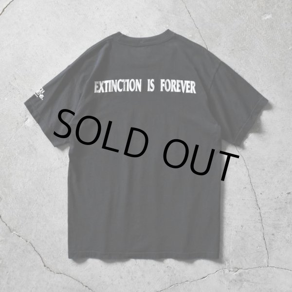 画像2: 1990s BUSCH GARDENS ライオンTシャツ　 "MADE IN USA"　 表記L  (2)