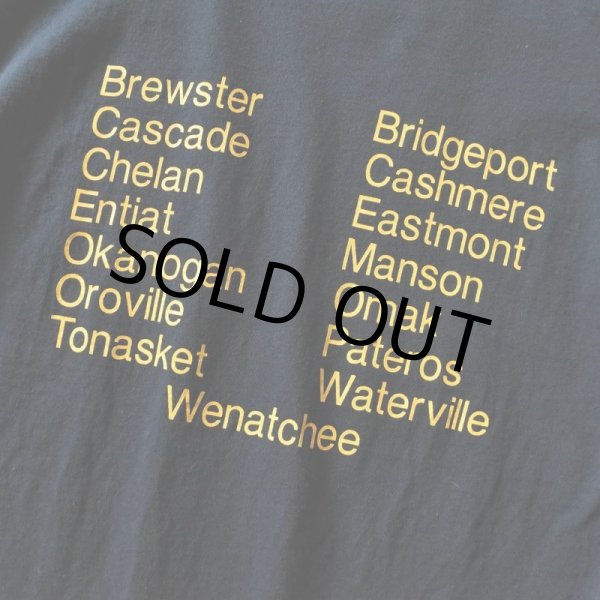 画像5: FFA プリントTシャツ　 表記M  (5)