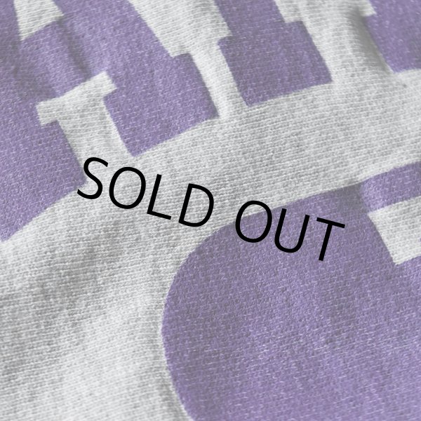 画像5: 1990s Champion リバースウィーブスウェット  "MATDOG WRESTLING"  表記L  (5)