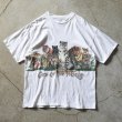 画像1: 1990s CATS OF THE WORLD Tシャツ　 "MADE IN USA"　 表記XL  (1)