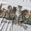 画像5: 1990s CATS OF THE WORLD Tシャツ　 "MADE IN USA"　 表記XL  (5)