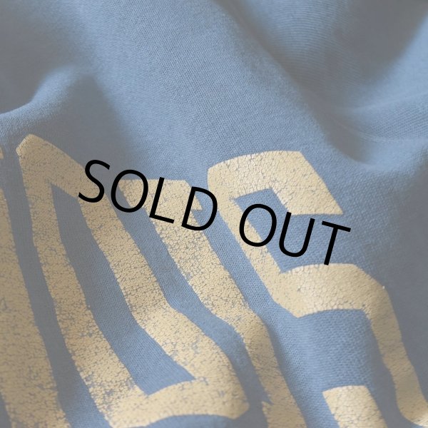 画像6: 1990s Champion 前Vカレッジスウェット　 "MADE IN USA"　 表記L  (6)