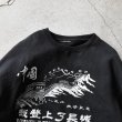 画像2: 中国万里の長城スウェット　 実寸L-XL  (2)