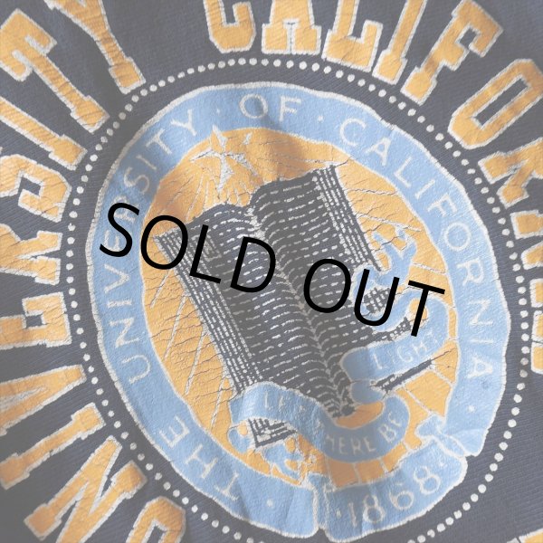 画像5: 1980s Champion リバースウィーブスウェット　 "UNIVERSITY OF CALIFORNIA IRVINE"　 表記L  (5)