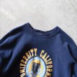 画像3: 1980s Champion リバースウィーブスウェット　 "UNIVERSITY OF CALIFORNIA IRVINE"　 表記L  (3)