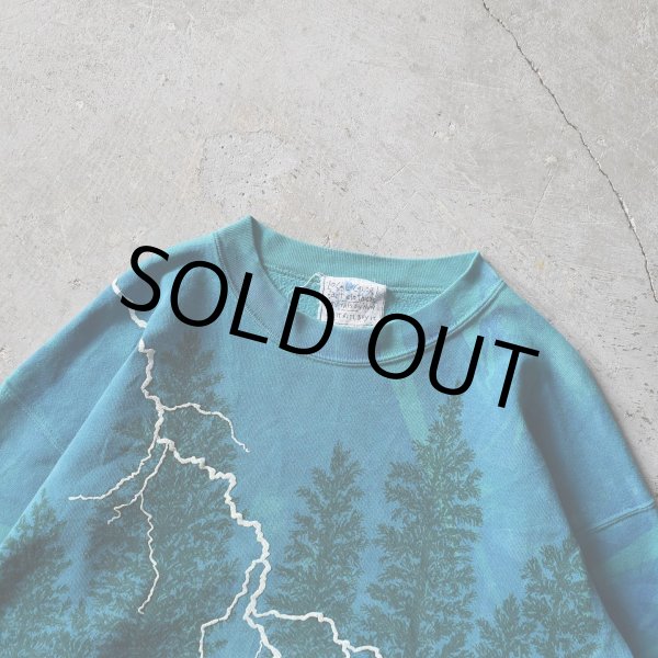 画像3: 1990s LOCAL COLOR 総柄アートスウェット　 "MADE IN USA"　 表記XL  (3)