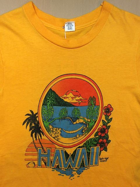 70s サーフ系Tシャツ hanes