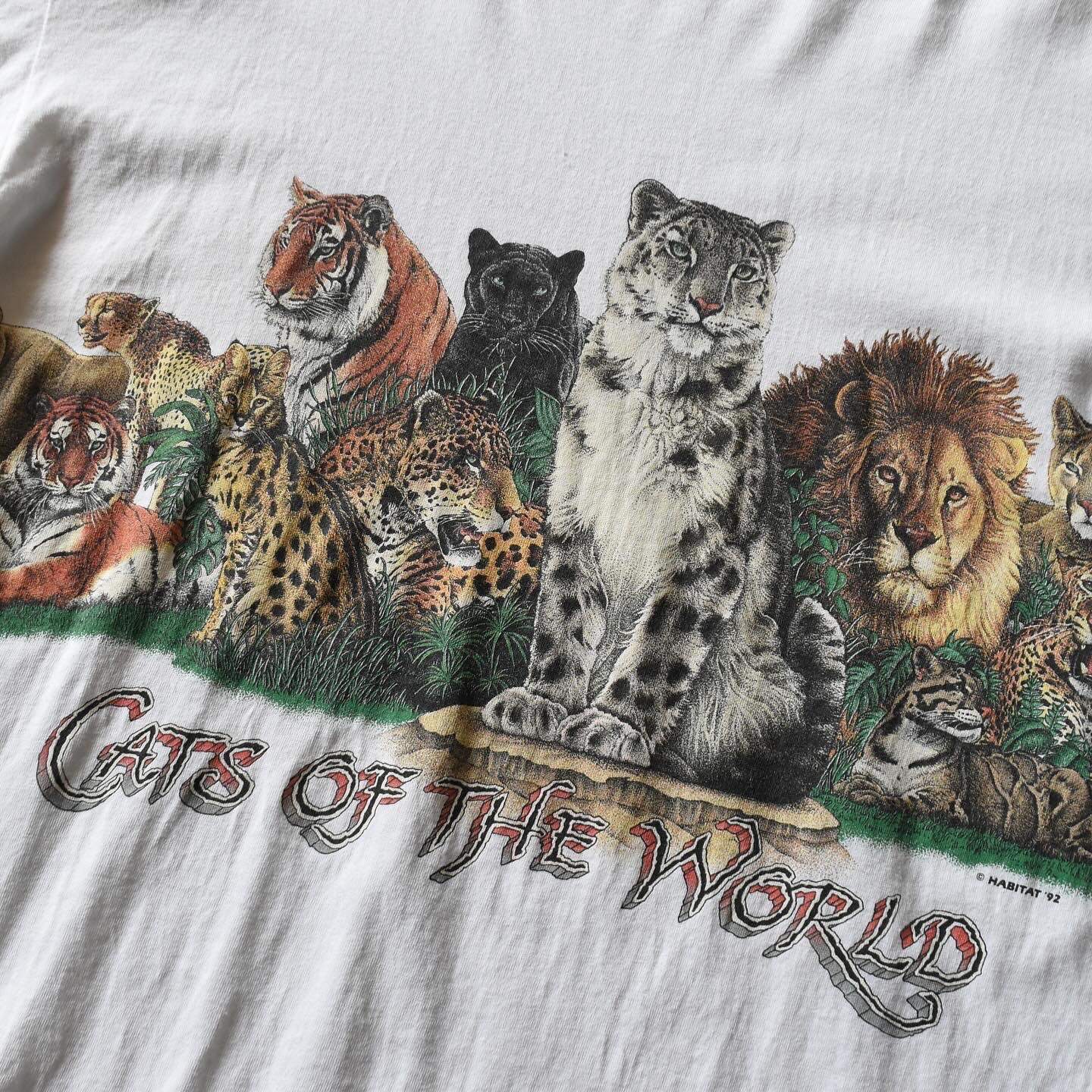 90skate globalghetto チシャ猫　グローバルゲットーTシャツ チェシャ猫tシャツandaziaL